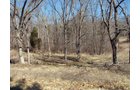 Property photo 7 - 97.5 Acres - Executive Home and Secluded Retreat
